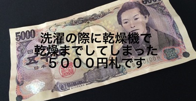 乾燥機で乾燥までしてしまった５０００円札です