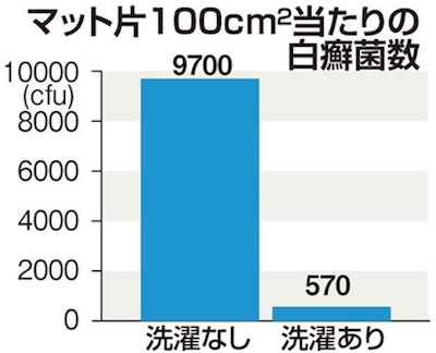 マット片１００cm当たりの白癬菌数
