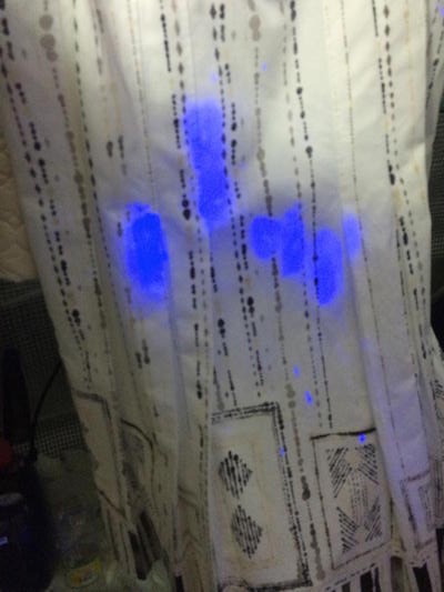 蛍光増白剤による変化　写真３