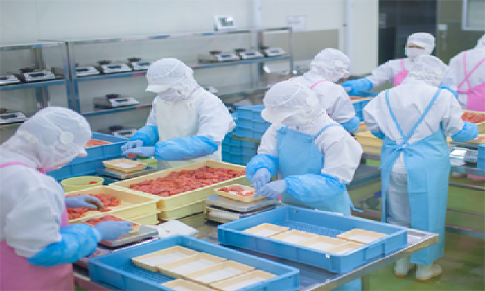 日本の食の安全を守る食品工場の衛生的なユニフォーム