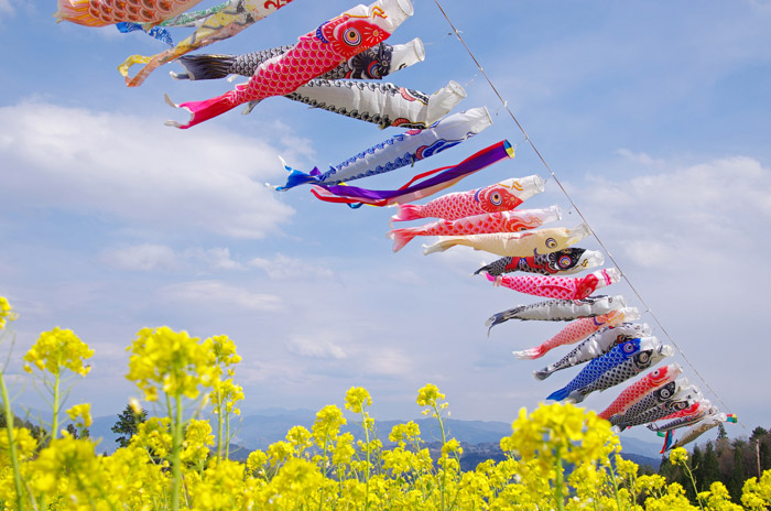 色落ち・金箔剥がれ　こいのぼりのお洗濯は注意点がいっぱい